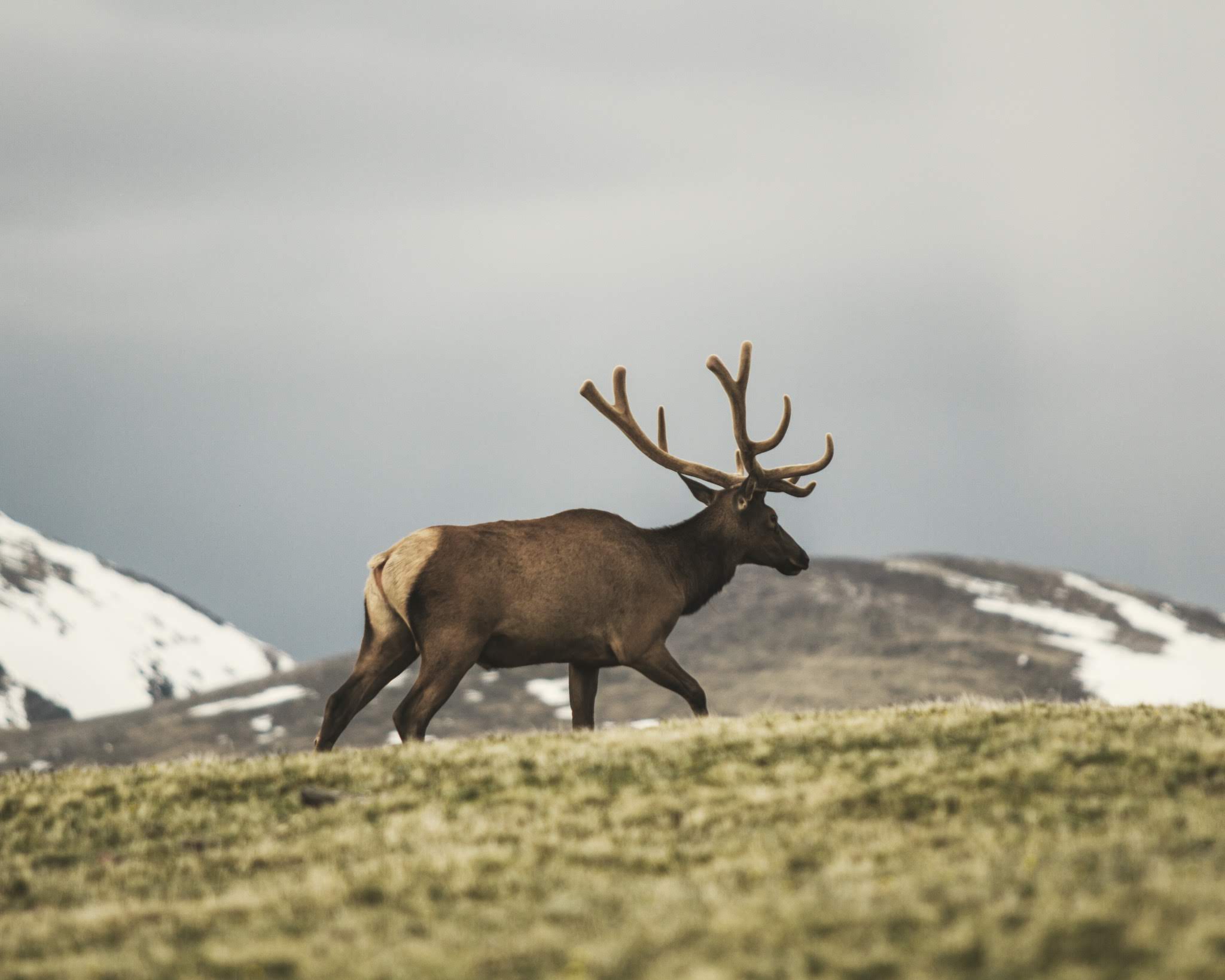 Can You Drive Through Rocky Mountain National Park? (Solved